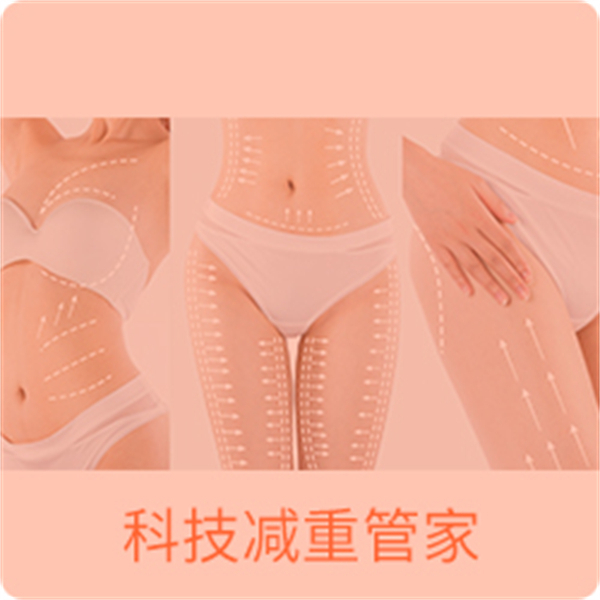 简体美减肥加盟