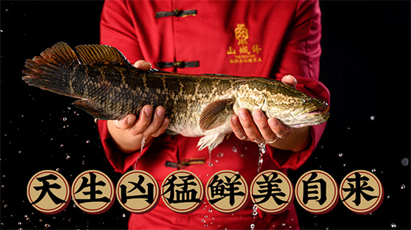 山城外老坛酸菜鱼加盟