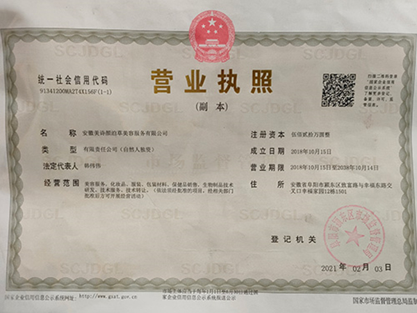 美诗颜泊草玉方祛斑加盟