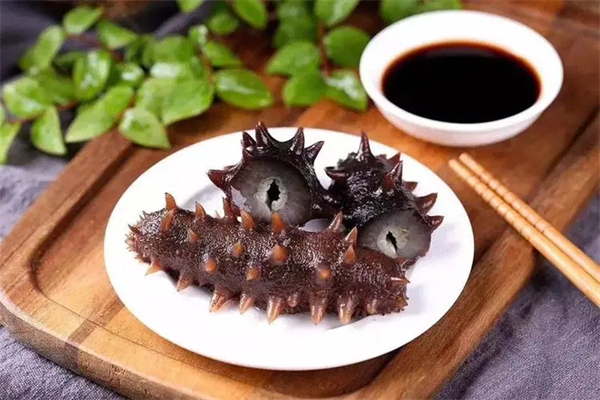 大连海参加盟