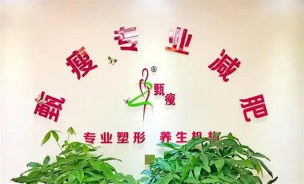 甄瘦专业减肥加盟