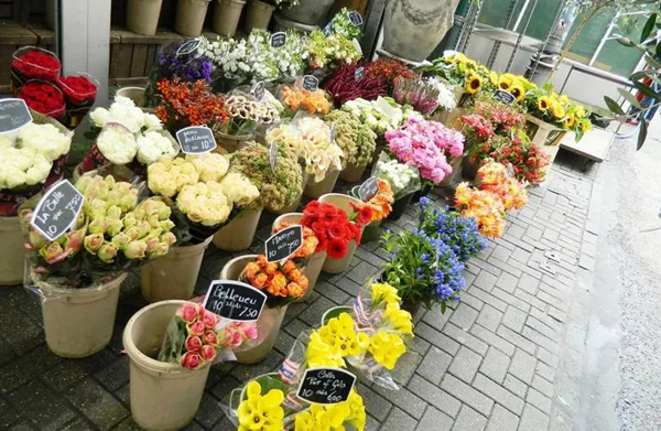 深圳花店