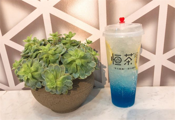 恒茶加盟