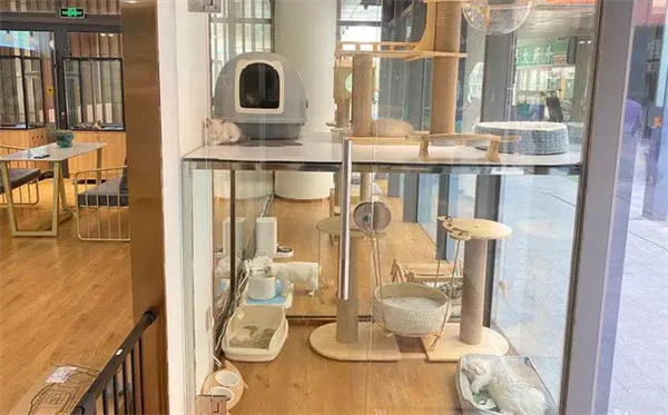 宠物店加盟
