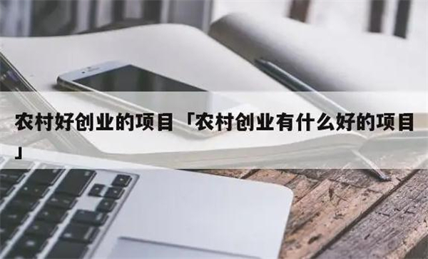 在农村创业的好项目有哪些？