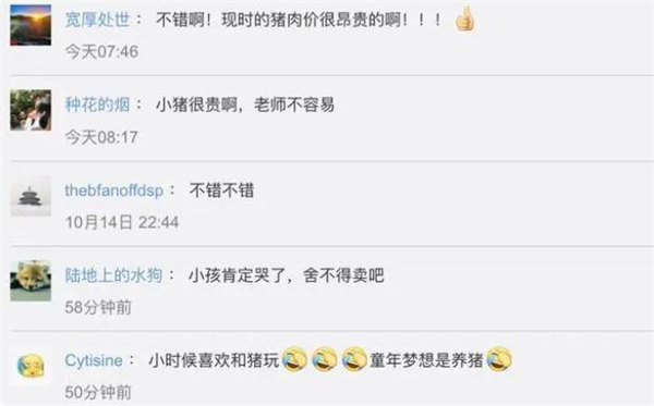 支教老师奖励优秀生的小猪喂养9个月后卖了4000元，学习养猪两不误！