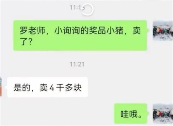 支教老师奖励优秀生的小猪喂养9个月后卖了4000元，学习养猪两不误！