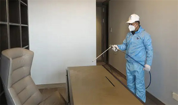 除甲醛公司加盟