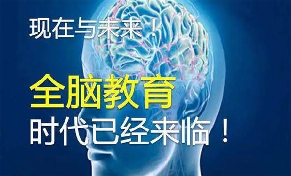 全脑开发加盟