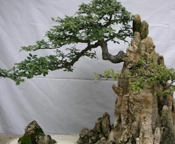 投资2～3万小生意，两三万能做的小生意有哪些？