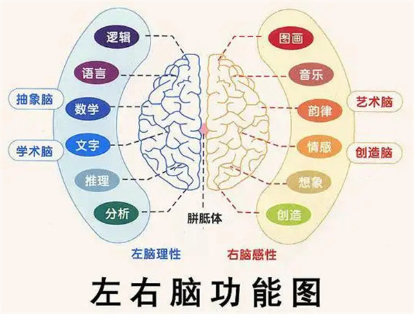 全脑开发加盟