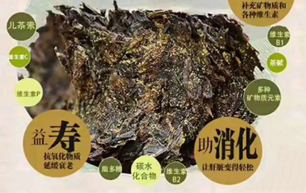 华莱黑茶加盟
