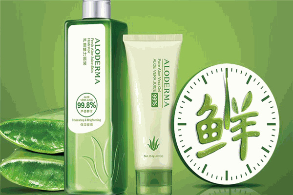 瑷芦荟加盟