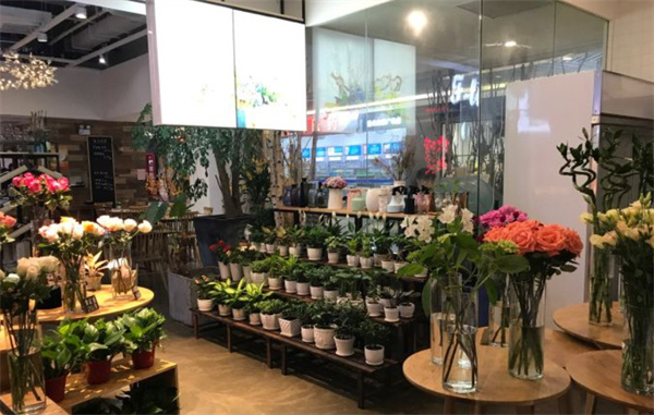 芙兰朵花店加盟