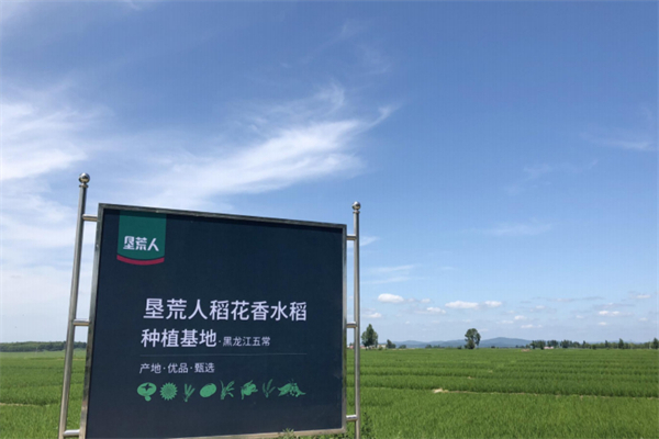 垦荒人