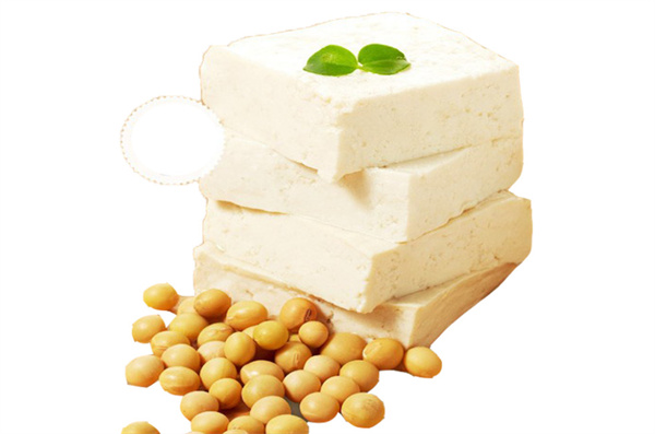 真正豆业加盟费
