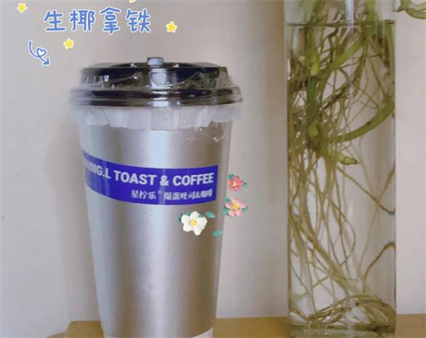 星柠乐爆蛋吐司加盟