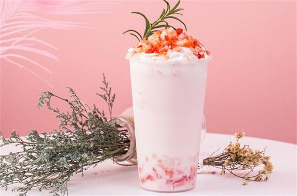 专一博士奶茶加盟