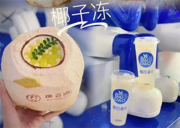 椰百道加盟费