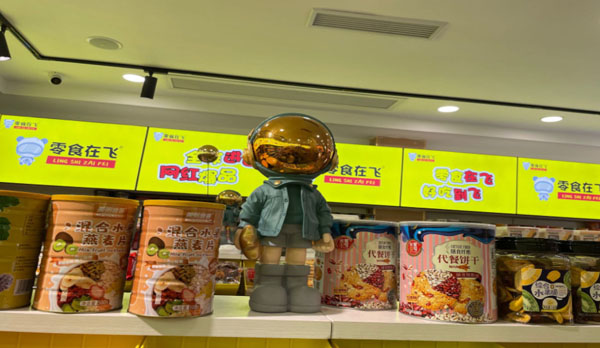 零食在飞加盟