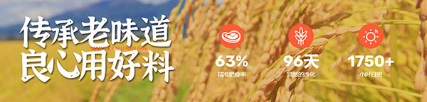 腩爷牛腩饭加盟