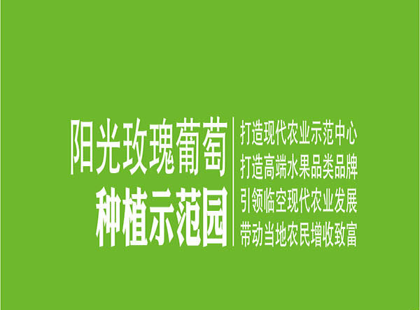 绿叶水果加盟费