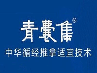 青囊集轻医馆