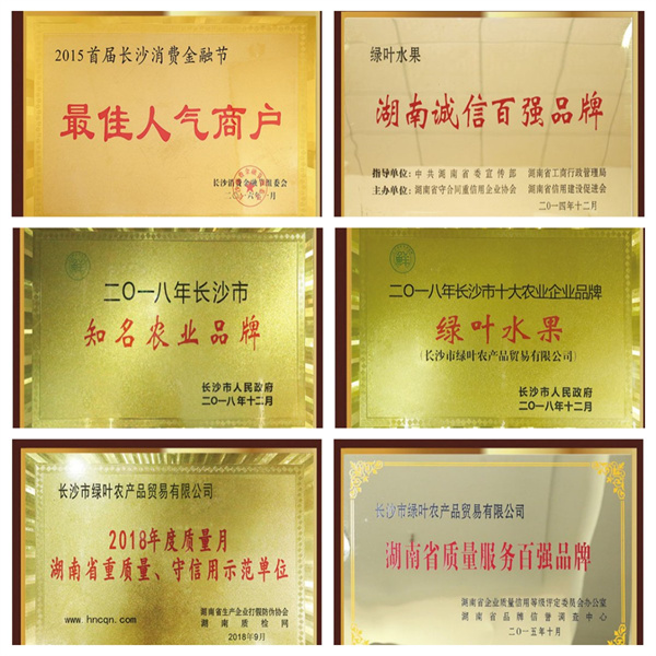绿叶水果