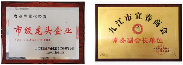 老字号卤菜店加盟费