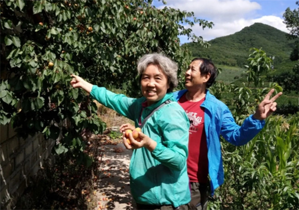 小许到家社区团购加盟