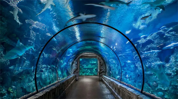 水族馆加盟费