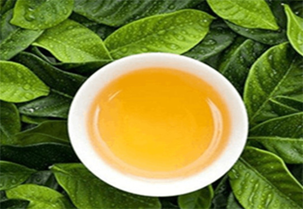 绿尔雅减肥茶加盟