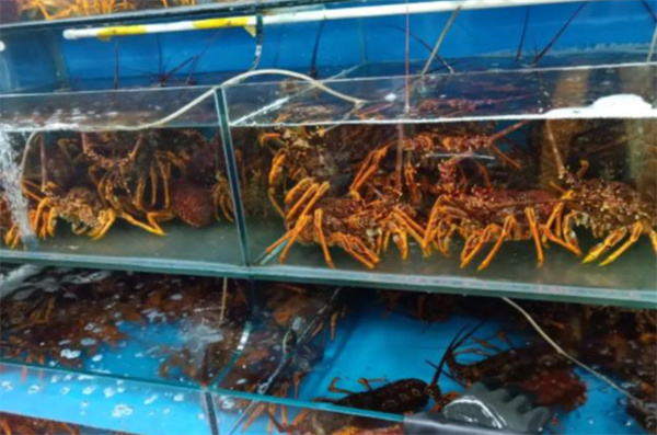 海鲜店连锁加盟