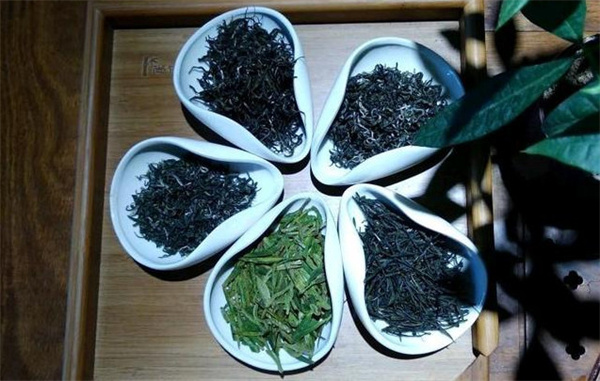 茗堂春加盟
