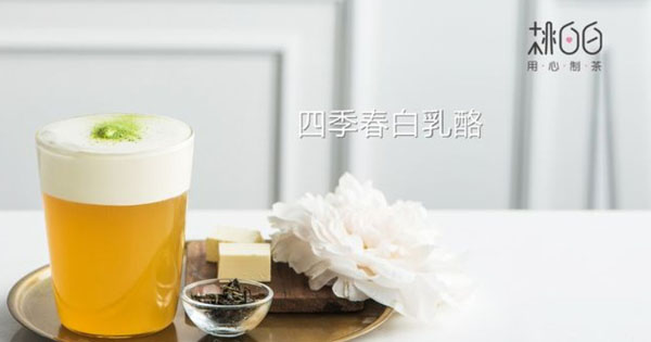 桃白白加盟