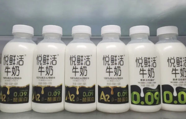 悦鲜活牛奶加盟