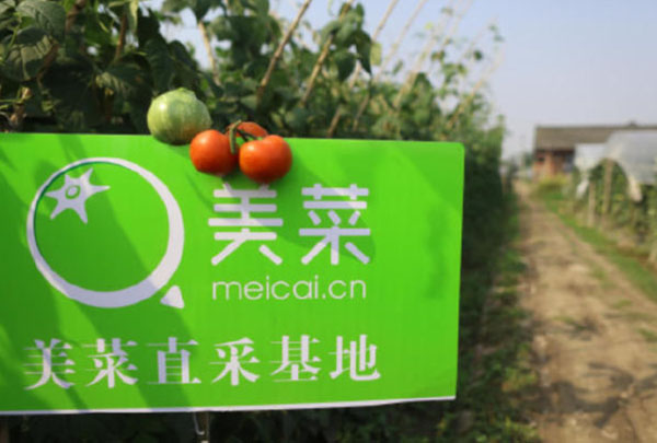 美菜加盟