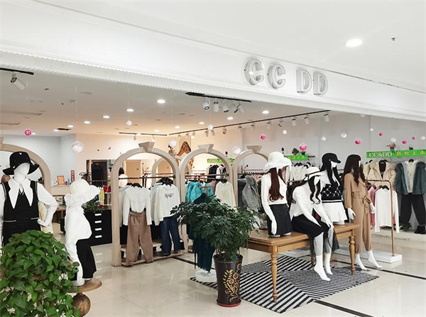 ccdd加盟