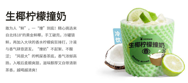 书亦烧仙草