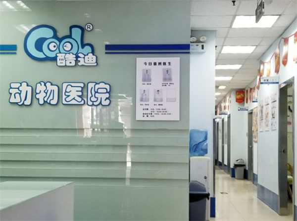 酷迪加盟