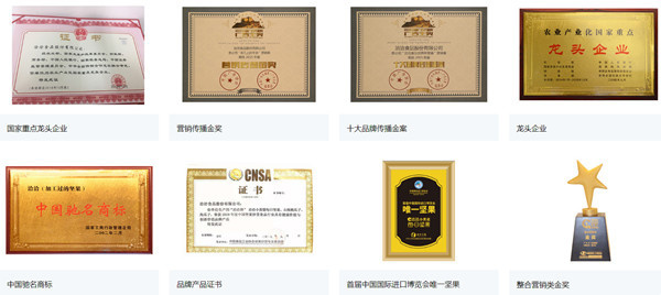 洽洽瓜子加盟