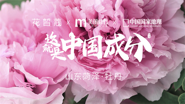 花皙蔻加盟费