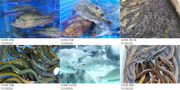 泊来鲜海鲜超市加盟