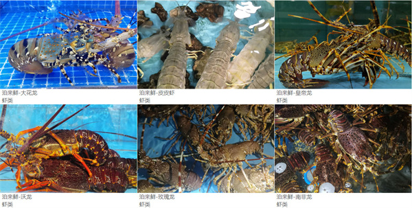 泊来鲜海鲜超市加盟