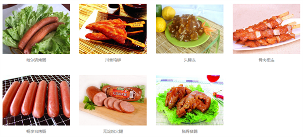 龙大肉食加盟