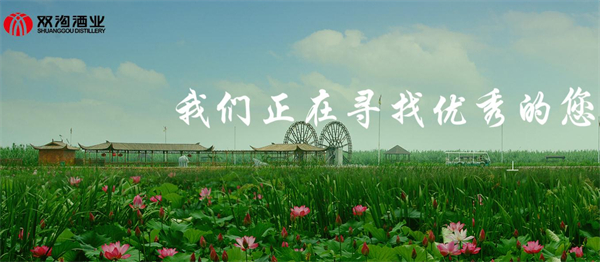 双沟酒加盟