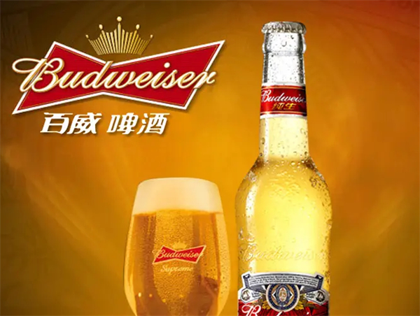 百威啤酒招商加盟