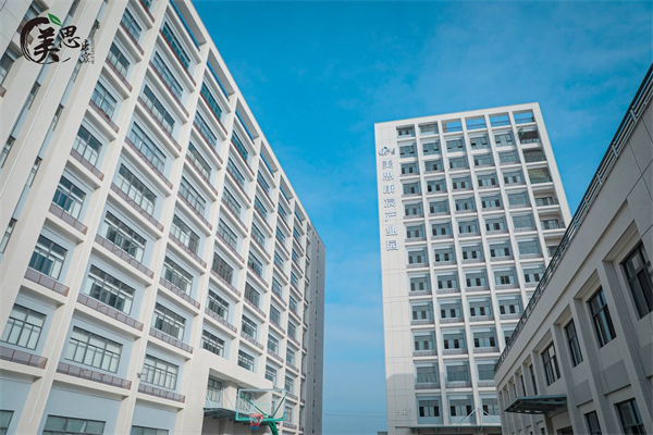 美思康宸阿胶糕加盟