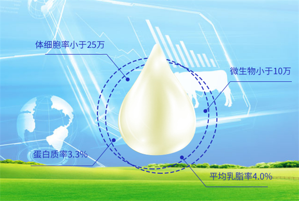 完达山乳业