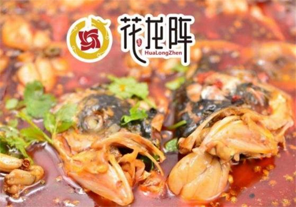 花龙阵美蛙鱼头加盟